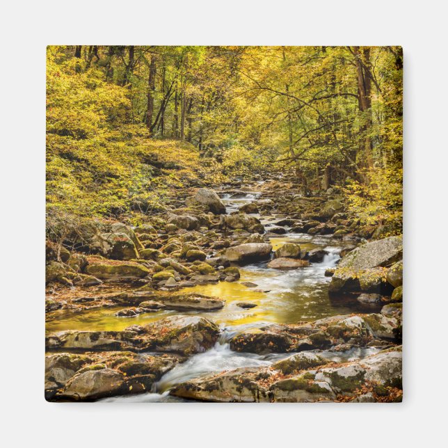 Underbar Rökig nationalpark. Big Bäck Magnet (Framsidan)