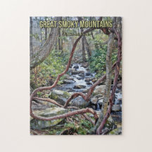 Underbar Rökky Mountains nationalpark Stream