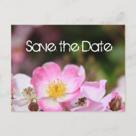underbar rosa vild ro blomma bröllop spara datum meddelande vykort
