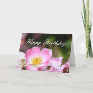 underbar rosa vild ro blommor grattis på födelseda kort