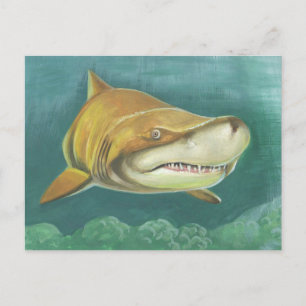 Underbar Sand Shark Vykort