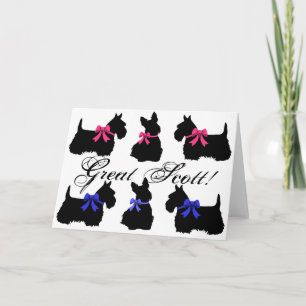 "Underbar Scott !", Scottish Terrier blanokort 2 Kort