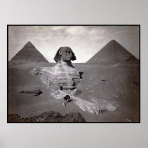 Underbar sfinx av Giza Necropolis och Pyramids Poster