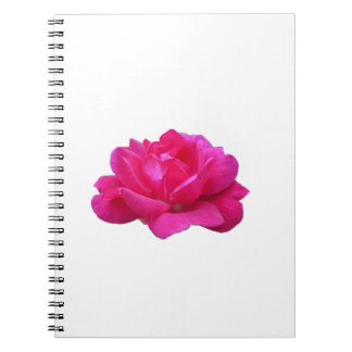 underbar singelblomma från rosa ros anteckningsbok