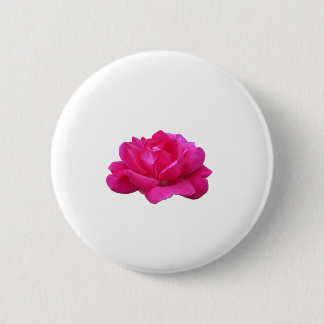 underbar singelblomma från rosa ros knapp