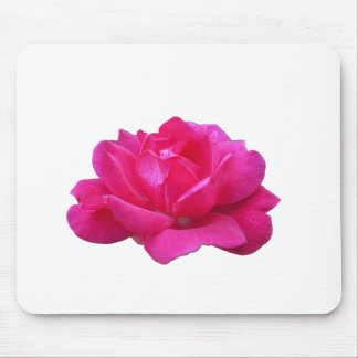 underbar singelblomma från rosa ros musmatta
