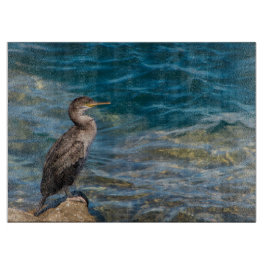 Underbar skarv på Sten