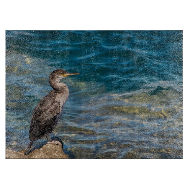 Underbar skarv på Sten (Framsidan)