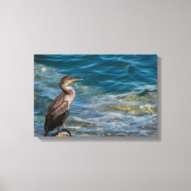 Underbar skarv på Sten Canvastryck (Framsida)