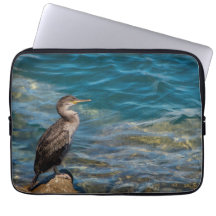 Underbar skarv på Sten