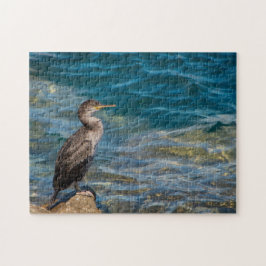 Underbar skarv på Sten Pussel