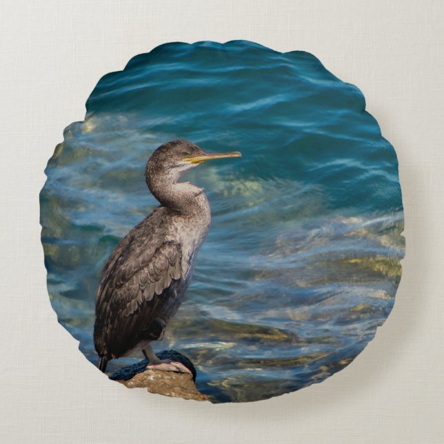 Underbar skarv på Sten Rund Kudde (Framsidan)