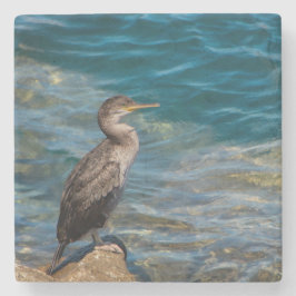 Underbar skarv på Sten Stenunderlägg