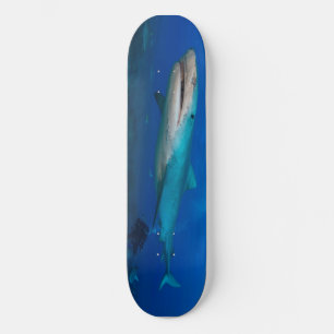 Underbar Skateboard för vit haj Bräda 19,5 Cm