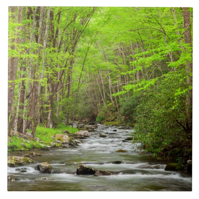 Underbar Smoky Mountains nationalpark North Caroli Kakelplatta (Framsidan)