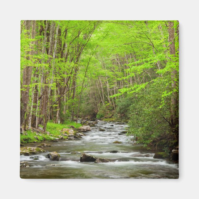 Underbar Smoky Mountains nationalpark North Caroli Magnet (Framsidan)