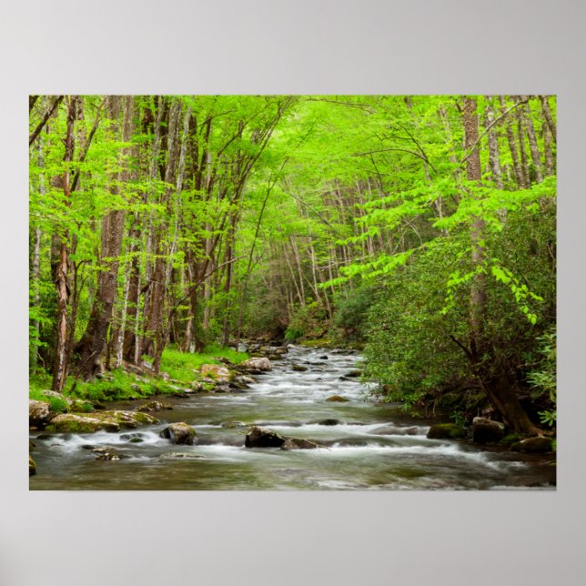 Underbar Smoky Mountains nationalpark North Caroli Poster (Framsidan)