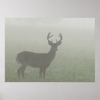 Underbar Smoky Mountains nationalpark, Tennesse Poster