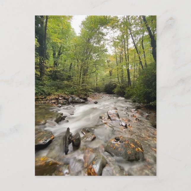 Underbar Smoky Mountains nationalpark, Tennessee Vykort (Framsida)