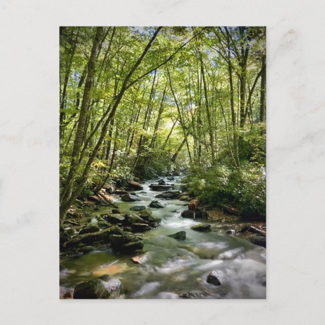 Underbar Smoky Mountains nationalpark, Tennessee Vykort (Framsida)