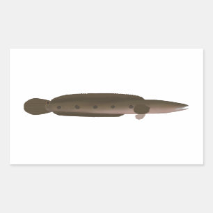 Underbar Snakehead Rektangulärt Klistermärke