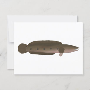 Underbar Snakehead Vykort
