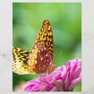 Underbar Spangled Fritillary