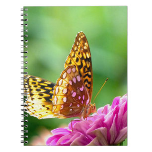 Underbar Spangled Fritillary Anteckningsbok Med Spiral
