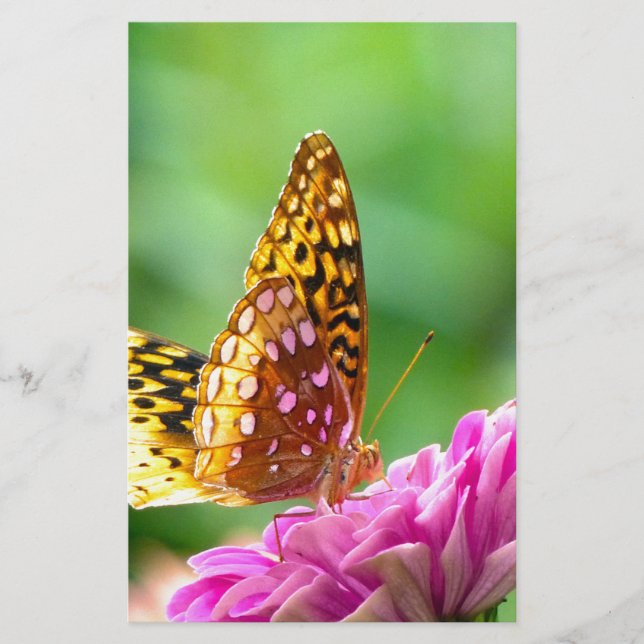 Underbar Spangled Fritillary Brevpapper (Framsida)