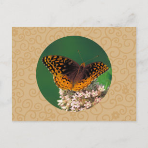 Underbar Spangled Fritillary Butterfly Vykort