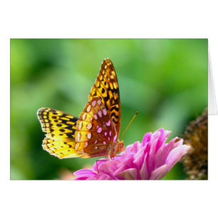 Underbar Spangled Fritillary Hälsningskort