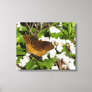 Underbar Spangled Fritillary på Mountain Laurel Canvastryck