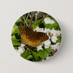Underbar Spangled Fritillary på Mountain Laurel Knapp