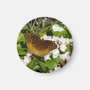 Underbar Spangled Fritillary på Mountain Laurel Magnet