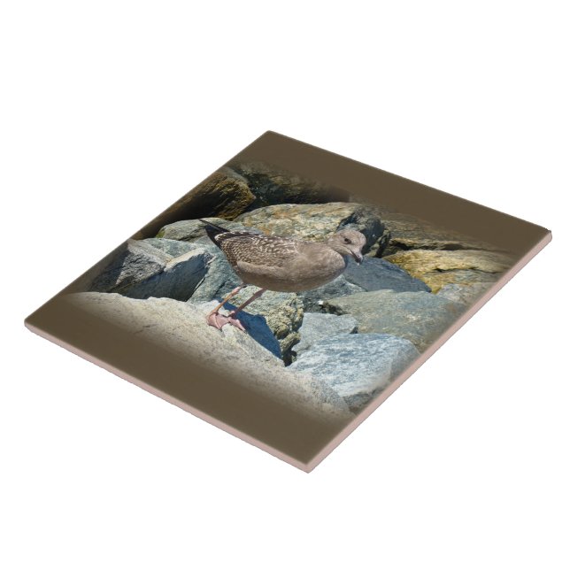 Underbar, svart guld kakelplatta (Sidan)