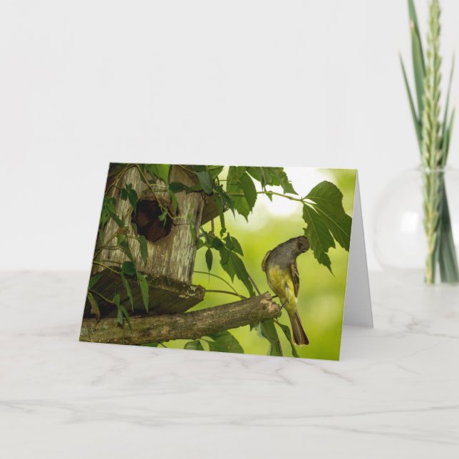 Underbar täckt Flycatcher Kort (Framsida)