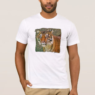 Underbar Tiger T-Shirt! T-shirt