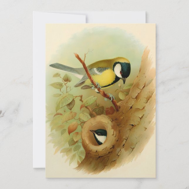 Underbar tit - Färgfåglar, Art Julkort (Framsida)