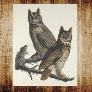 Underbar Uggla--taloky-Vintage Poster