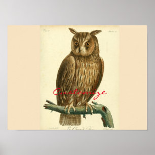 Underbar Uggla Thunder_Cove Poster