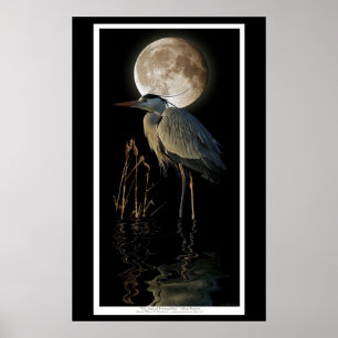 Underbar utskrift av blå Heron, Reeds och Måne nat Poster