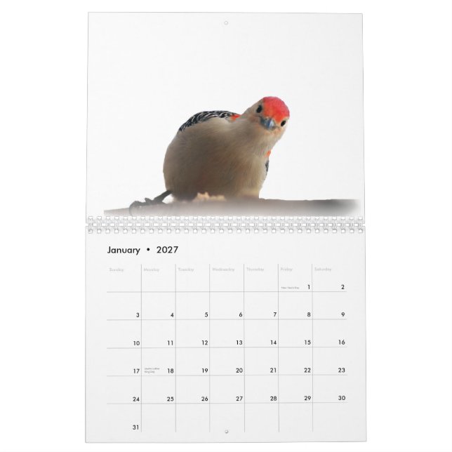 Underbar värld av hackspetter 2015 kalender (Jan 2027)
