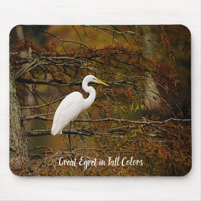 Underbar vit del i Höst färger musknapp Musmatta (Framsidan)