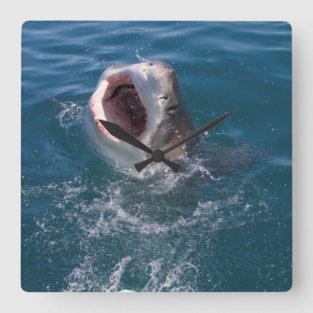 Underbar vit hajklocka fyrkantig klocka (Framsida)