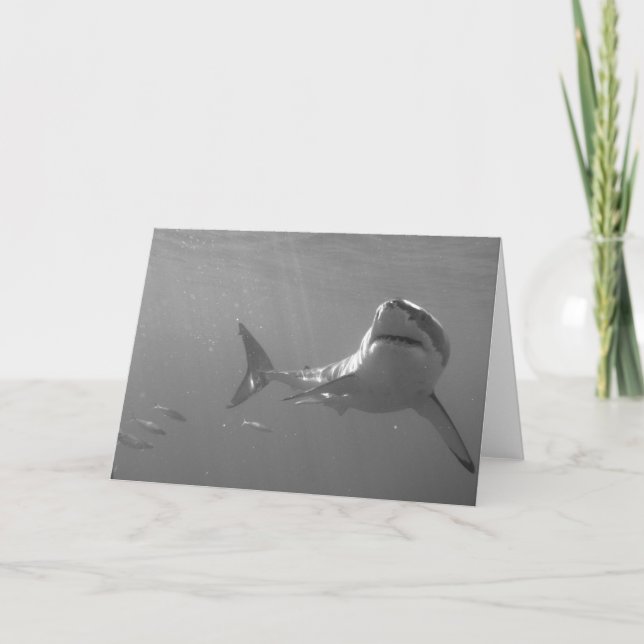 Underbar vit kort (Framsida)