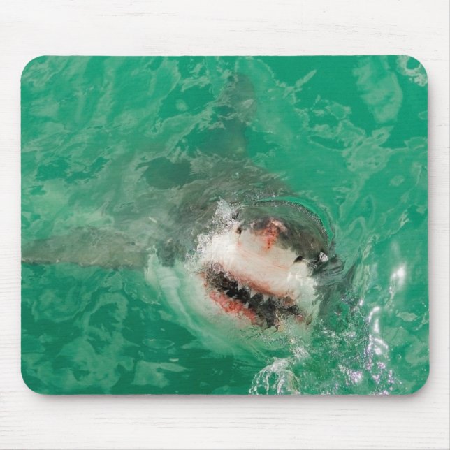 Underbar vit Shark1 Musmatta (Framsidan)