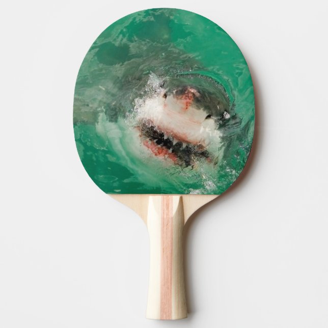 Underbar vit Shark1 Pingisracket (Framsidan)