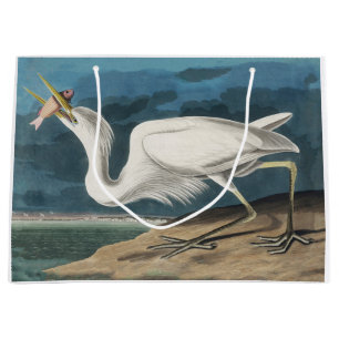 Underbar White Heron Audubon Bird Wildlife Paintin
