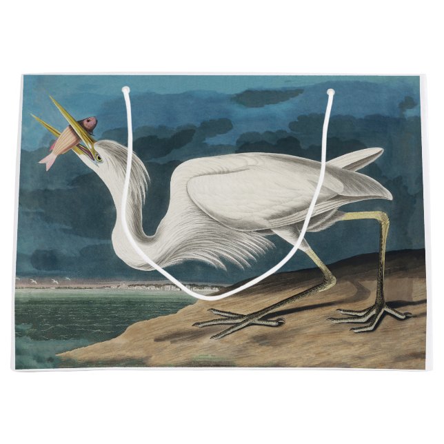 Underbar White Heron Audubon Bird Wildlife Paintin (Framsidan)