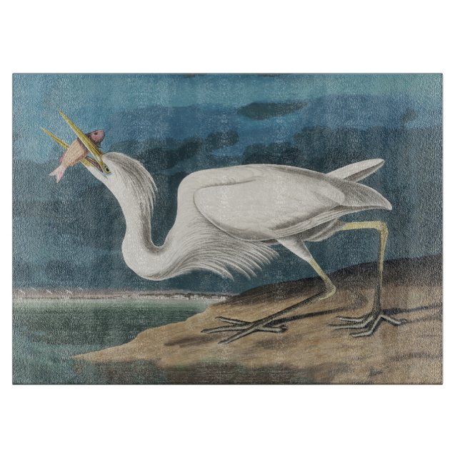 Underbar White Heron Audubon Bird Wildlife Paintin (Framsidan)
